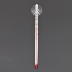 Glas Thermometer